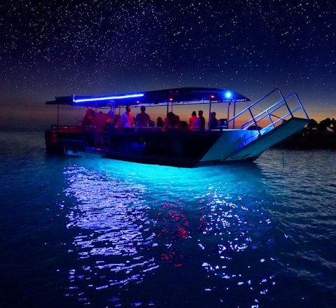 Night Kayak Over the Bioluminescent Wrecks at Tangalooma