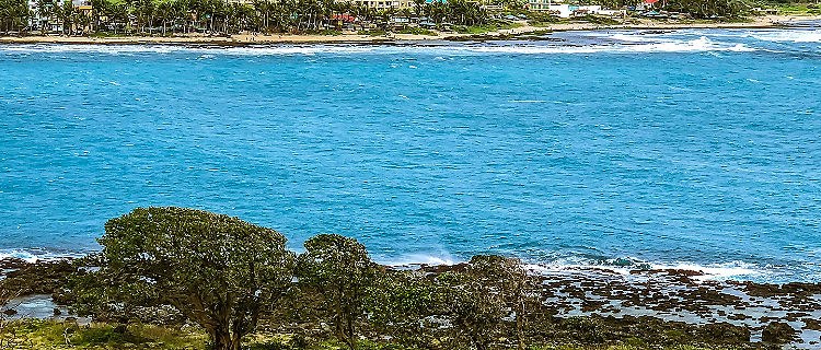 Salomague Island Snorkel & Private Beach Escape