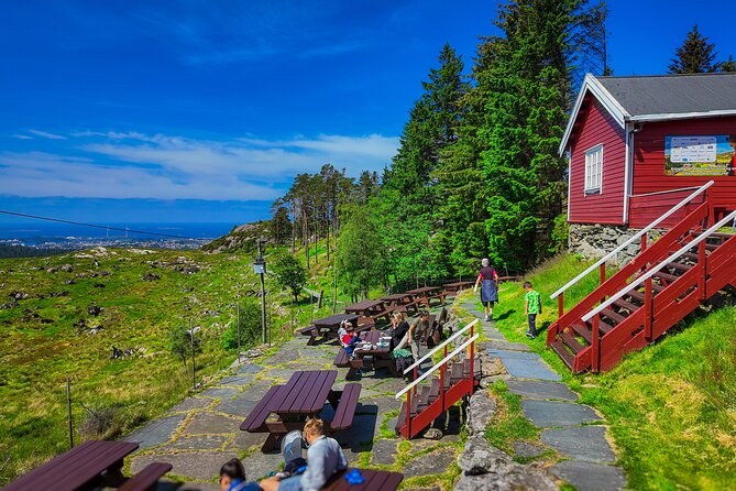 Steinsfjellet Summit Hike: Panoramic Views Above the Fjord