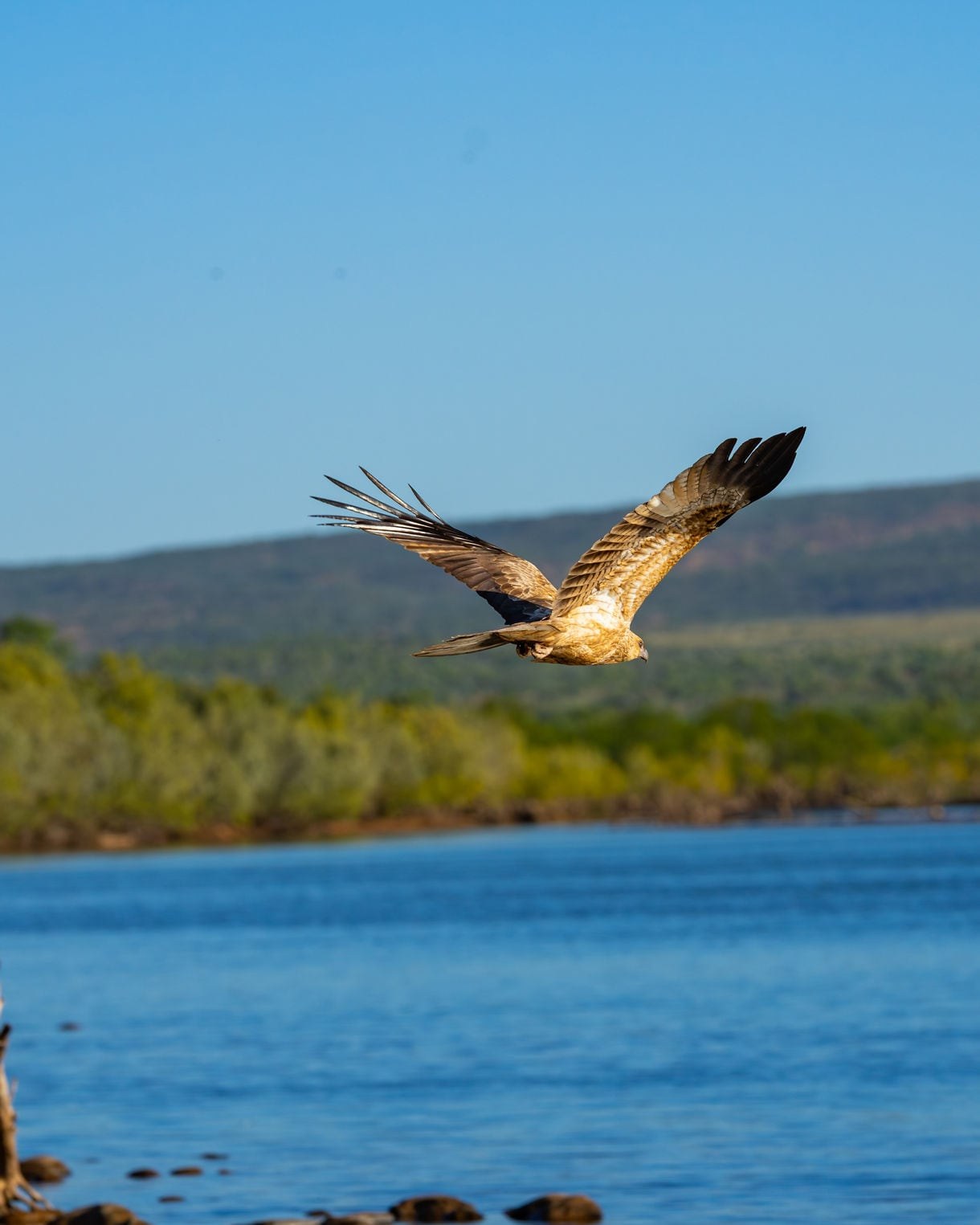 Buccaneer Archipelago Private Zodiac: Red Cliff & Creek Expedition