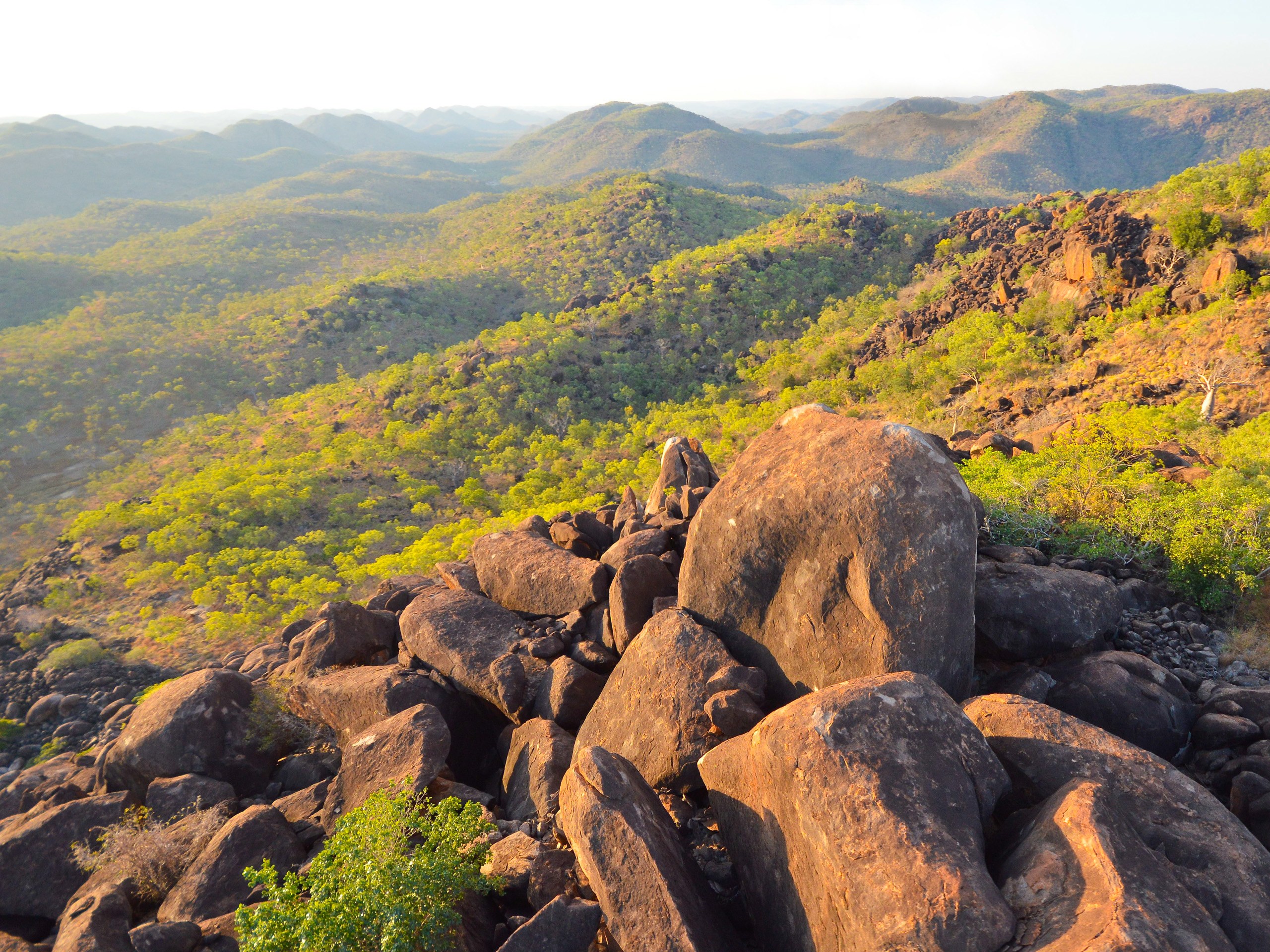 Dambimangari Ranger Cultural Walk: Country, Law & Living Culture