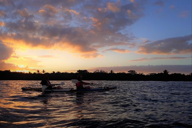 Yampi Sound Sunset Kayak: Mangroves, Wildlife & Bioluminescence