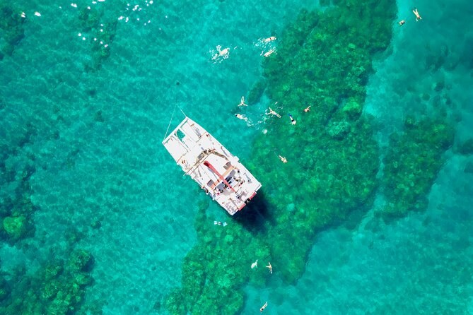 Turtle Reef Snorkel: Kimberley's Secret Coral Garden