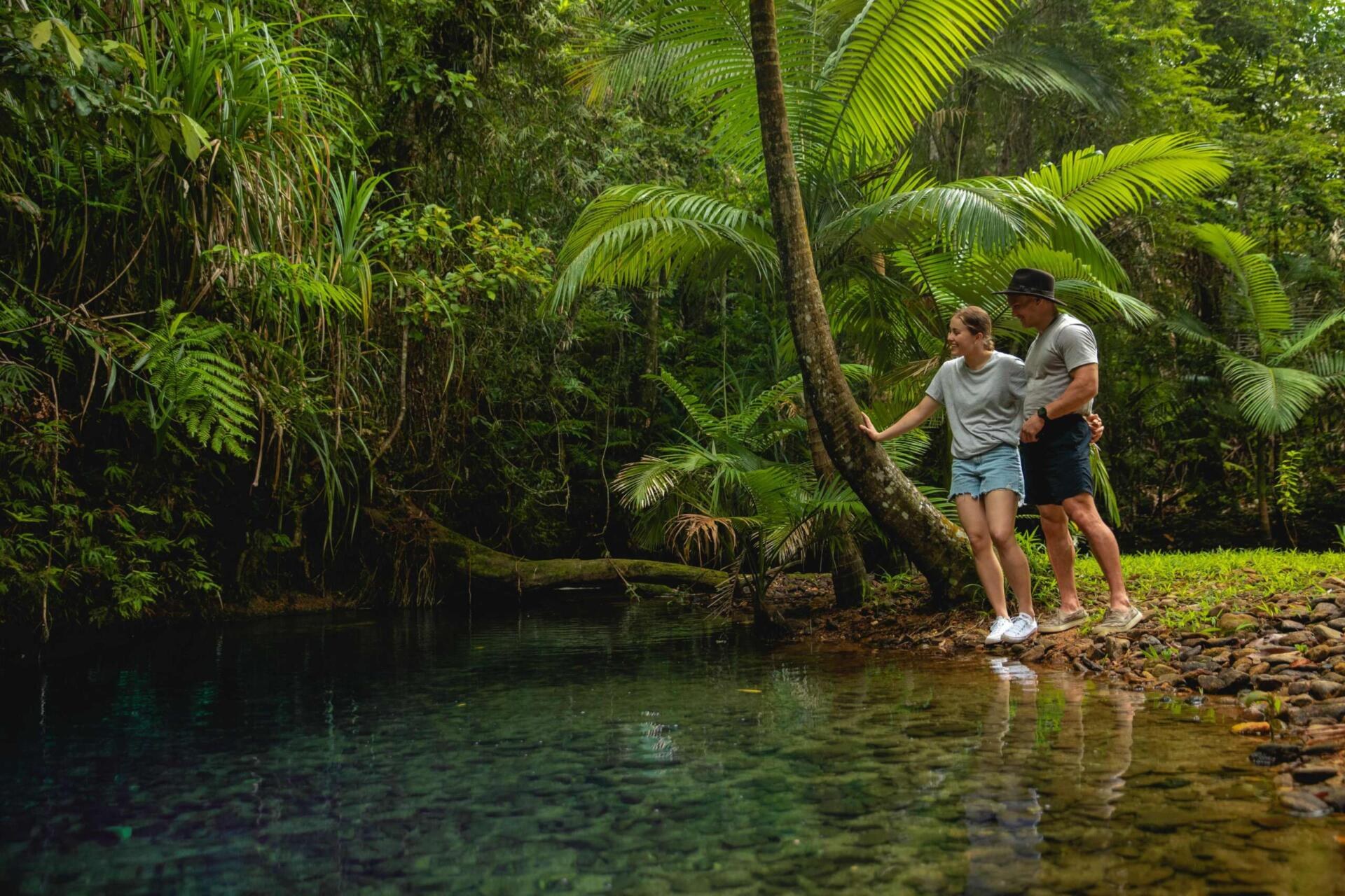 Daintree Rainforest Private Wilderness Safari