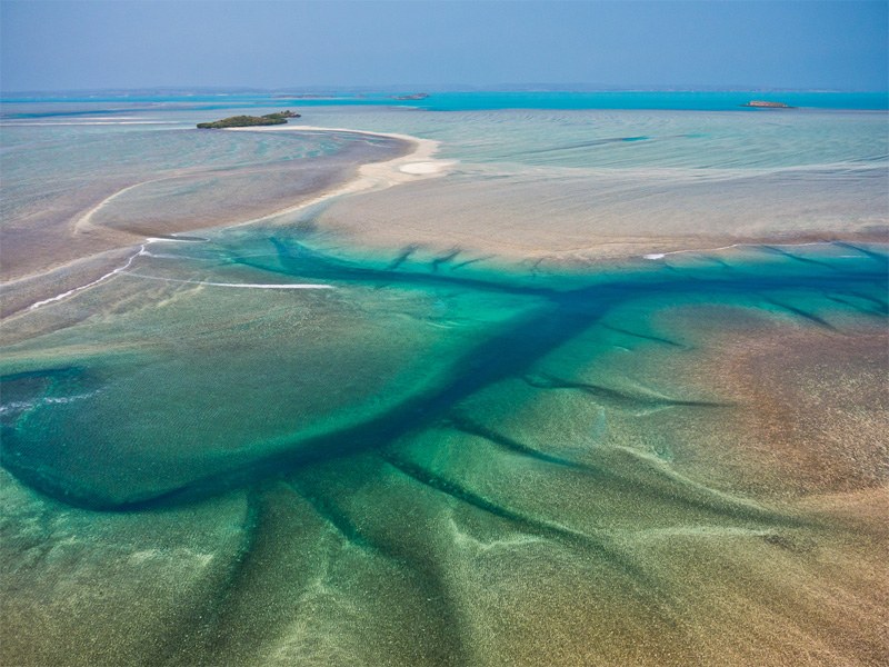 Montgomery Reef Helicopter Scenic Flight & Zodiac Boat Tour