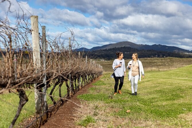 Hunter Valley Reserve Wine Masterclass with a Winemaker