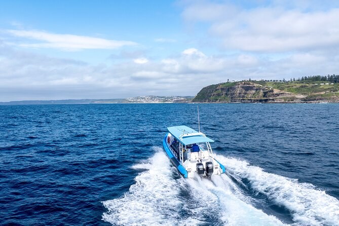 Bespoke Newcastle Heritage & Coastline Private Walking Immersion