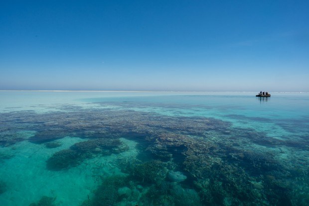 Pristine Lagoon Snorkel: Ashmore Reef Coral Bommies