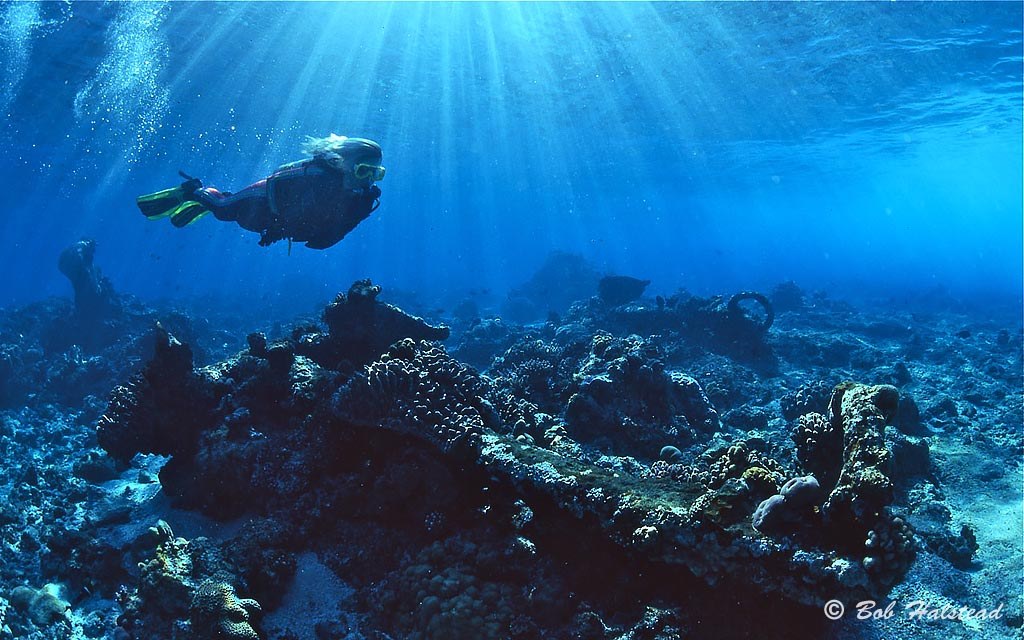 Dive the Continental Shelf Drop-Off: Advanced Guided Scuba, Ashmore Reef