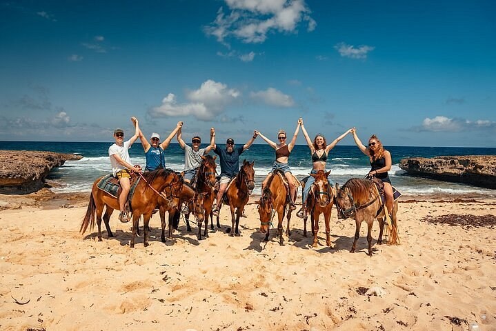 Aruba: Ecological Horseback Ride to Wariruri Beach