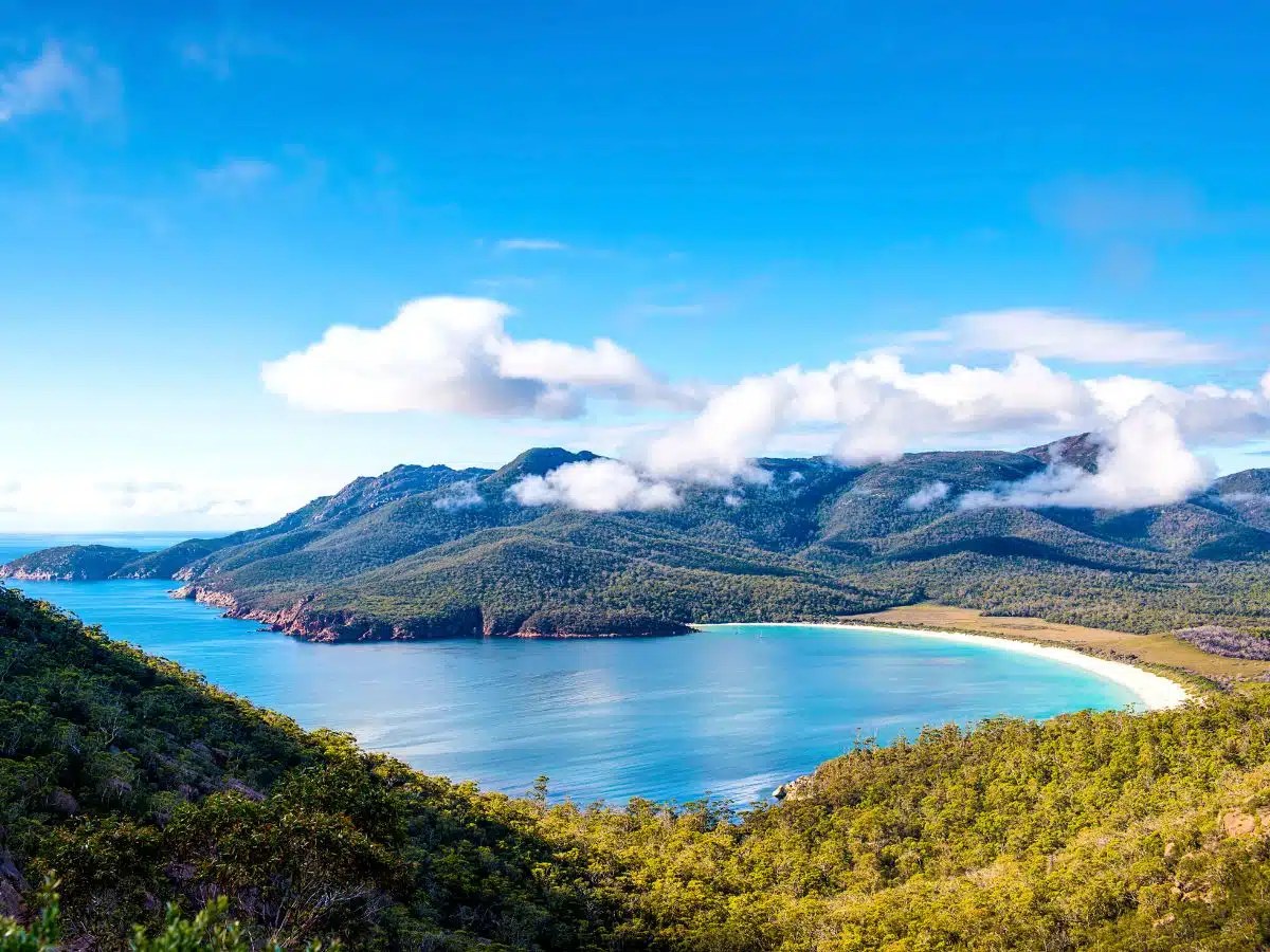 Private Wildlife & Winery Tour: Freycinet to East Coast Vines