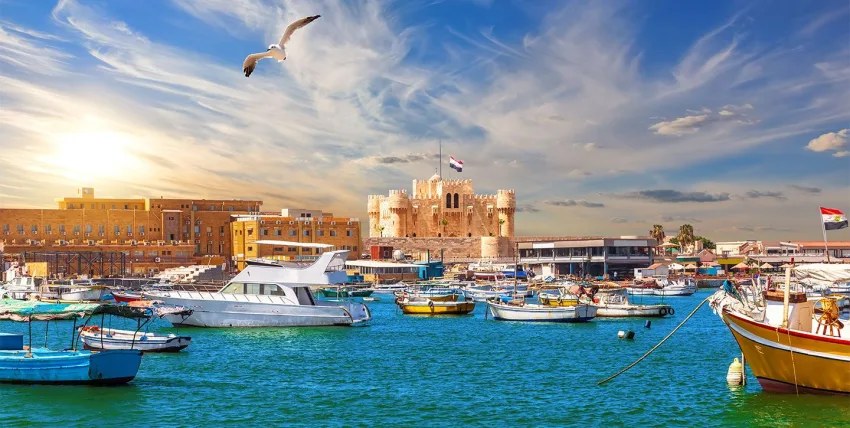 Alexandria Food & Seafood Culture Private Tasting Journey