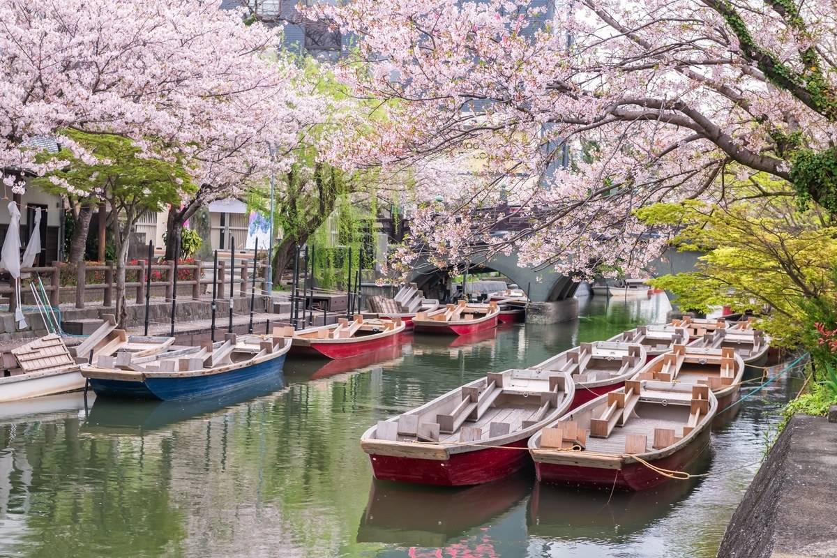 Yanagawa Canal Punting & Samurai Quarter: Private Retreat