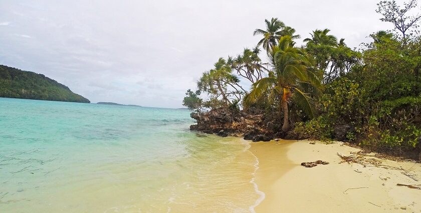 Tonga Private Island Day: Pristine Reefs & Royal Kingdom Culture