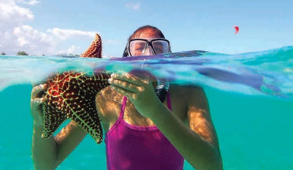 Coral Gardens & Barrier Reef Snorkel with Starfish Point