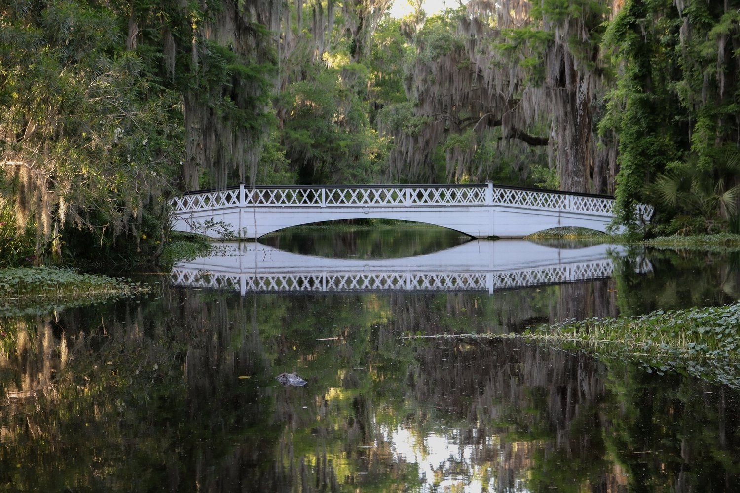 Magnolia Plantation: Gothic Gardens, Canoe Trail & Nature Boat Tour