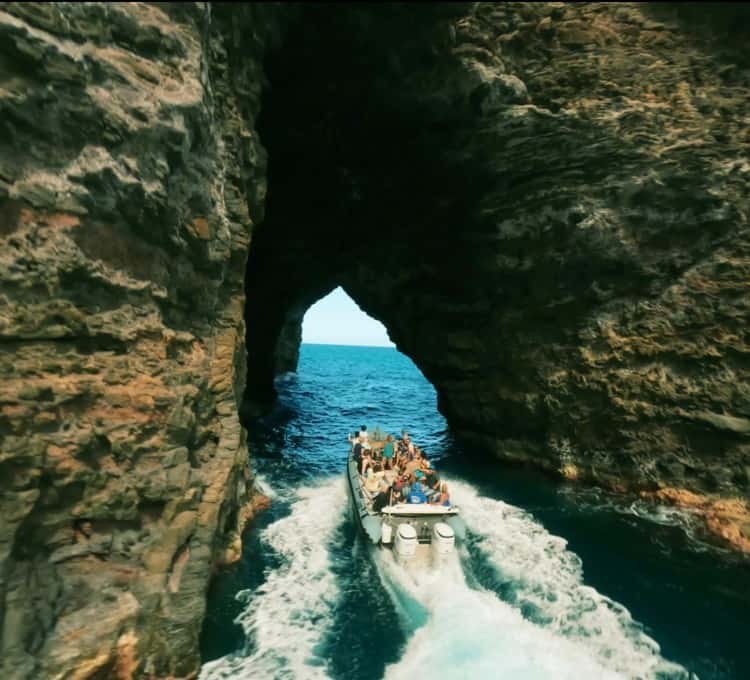 Zodiac Expedition into Resolution Island's Fjords & Sea Caves