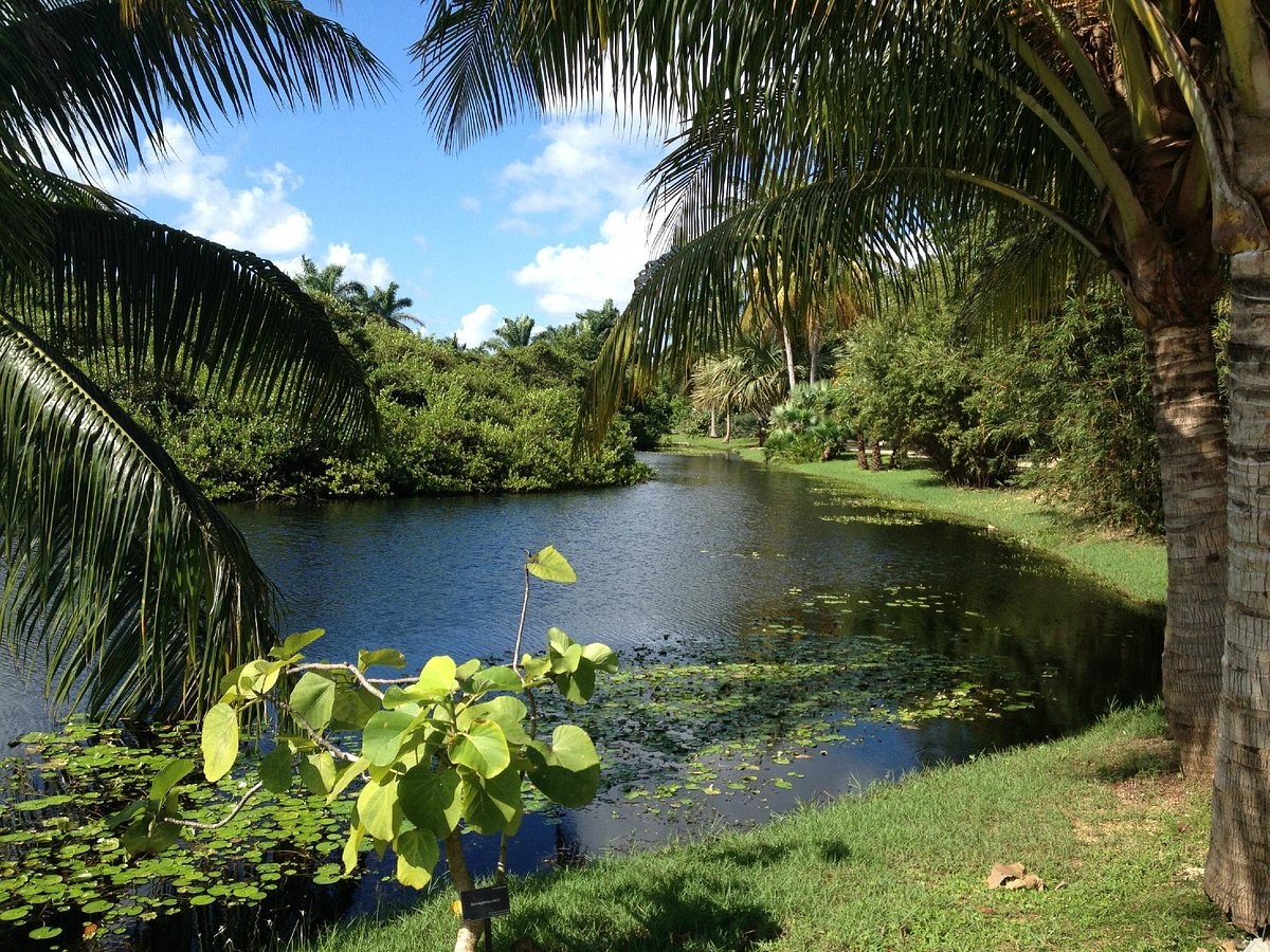 Queen Elizabeth II Botanic Park: Private Guided Nature Walk