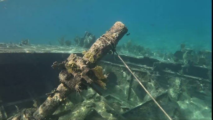 Shipwreck Snorkel Safari: Explore Ocean Cay's Sunken Fleet