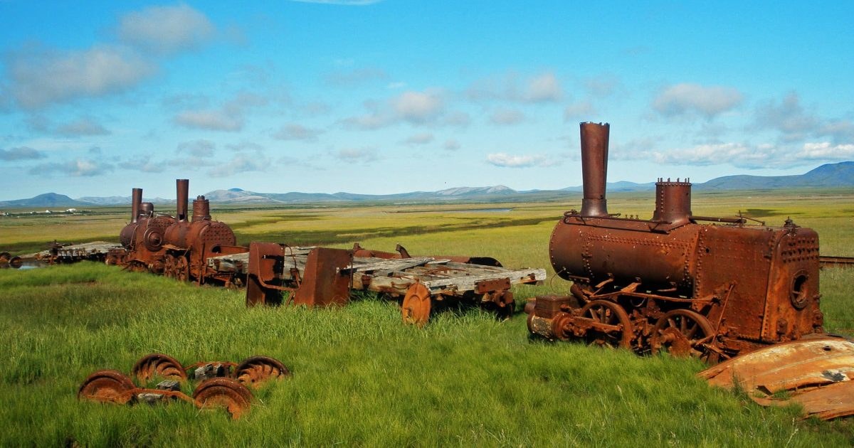 Last Train to Nowhere: Tundra Ruins & Gold Rush History Hike