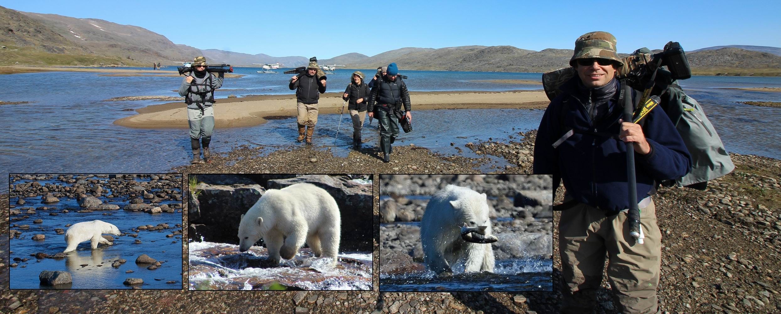 Polar Bear & Wildlife Watching Safari: Torngat Wilderness