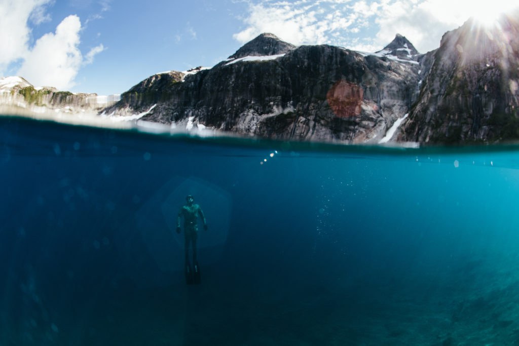 Private Naturalist Briefing & Arctic Ecosystem Deep Dive