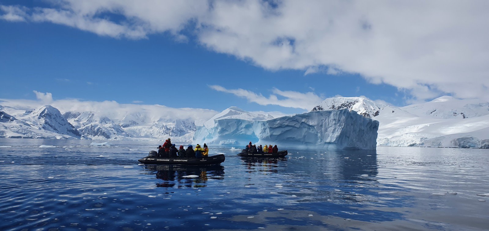 Zodiac Expedition: Wild Seabirds & Sea Ice Among the Savages