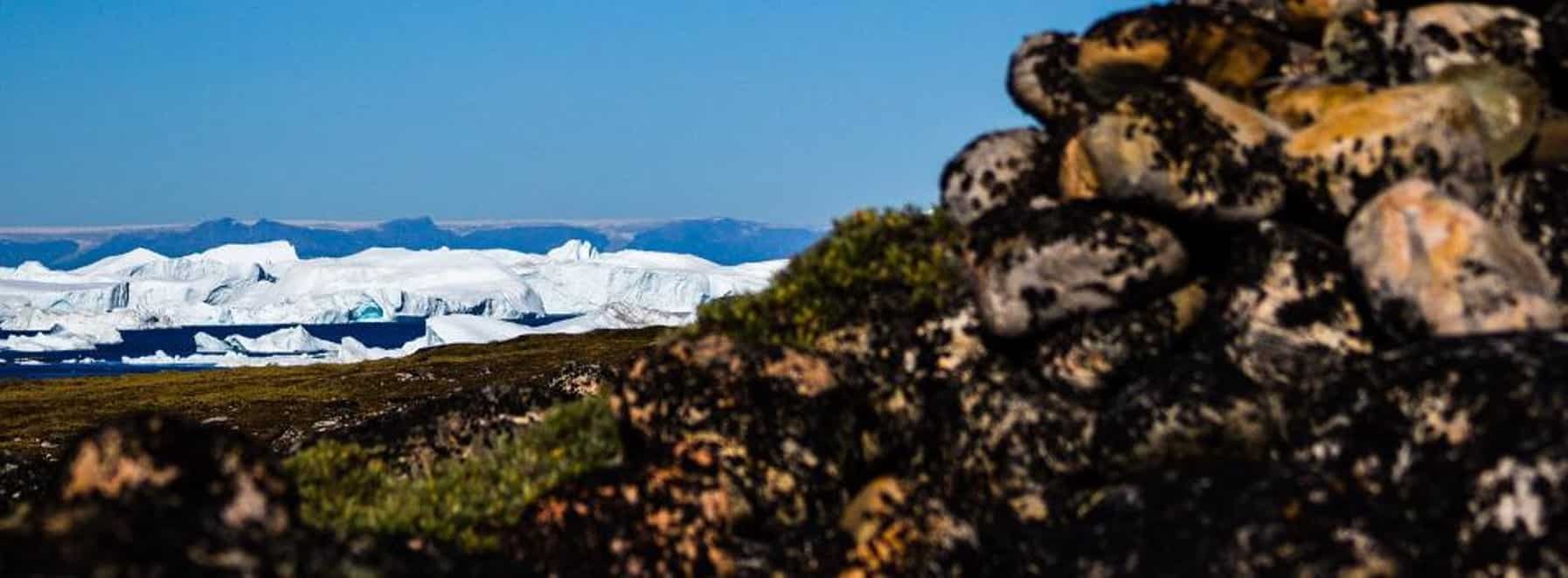 Guided Tundra Hike: Ancient Inuit Tent Rings & Arctic Plateaus