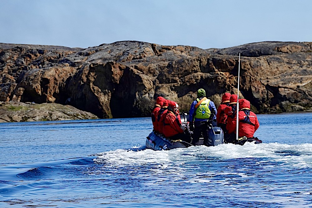 Arctic Snorkelling: Beneath the Surface of Hudson Strait