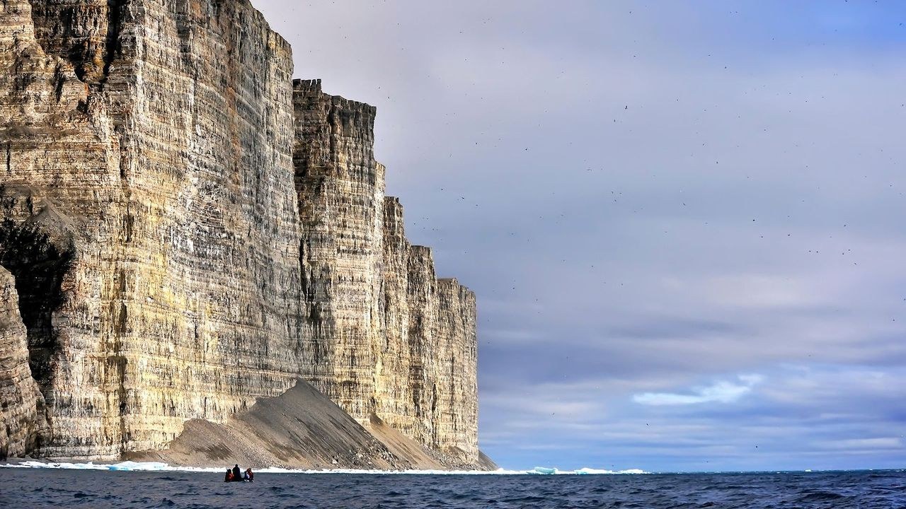 Ornithology Master Session: Seabird Colonies of the Savage Cliffs