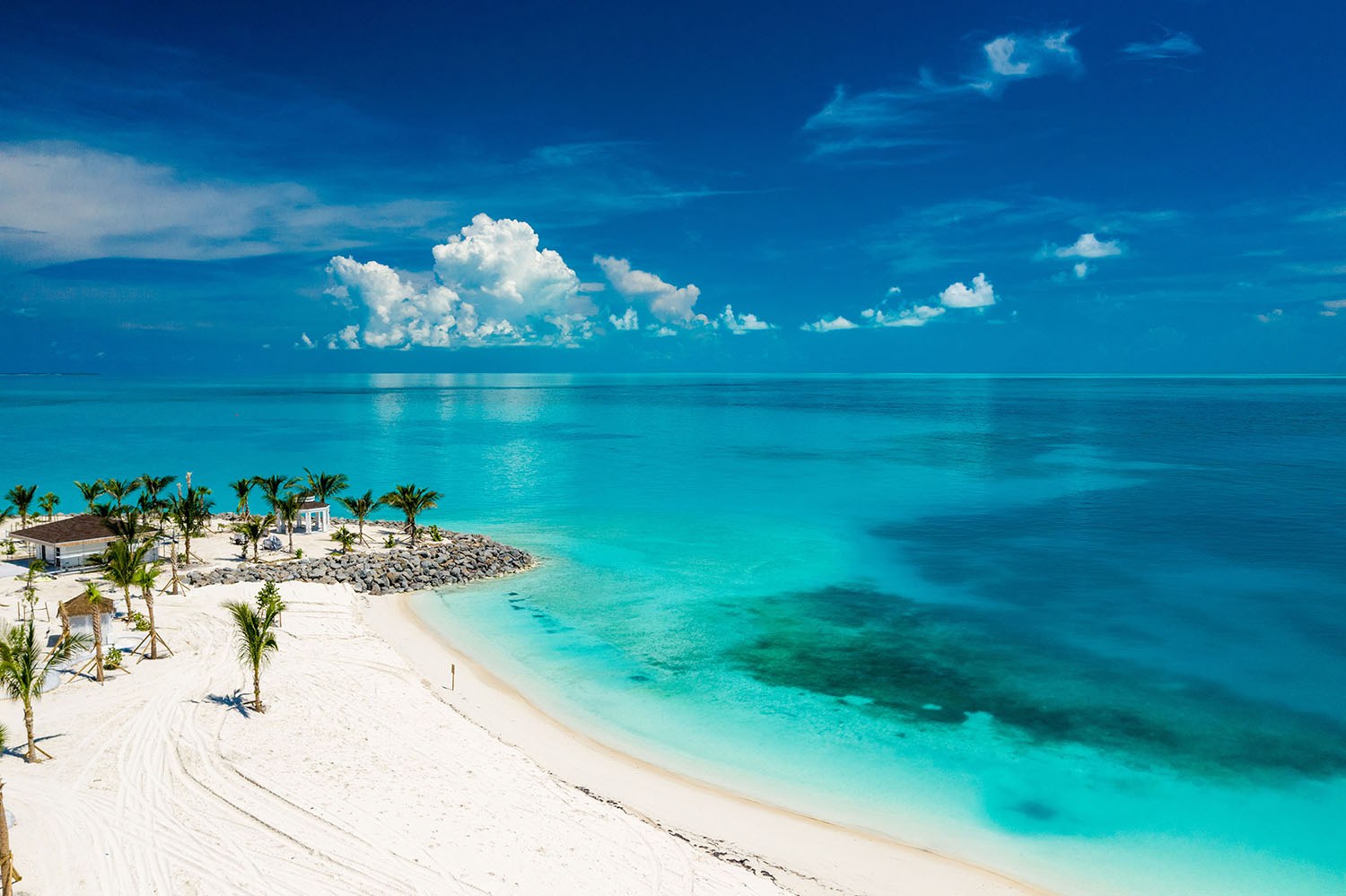 Deep-Sea Fishing: Catch, Tag & Release in the Bahamas