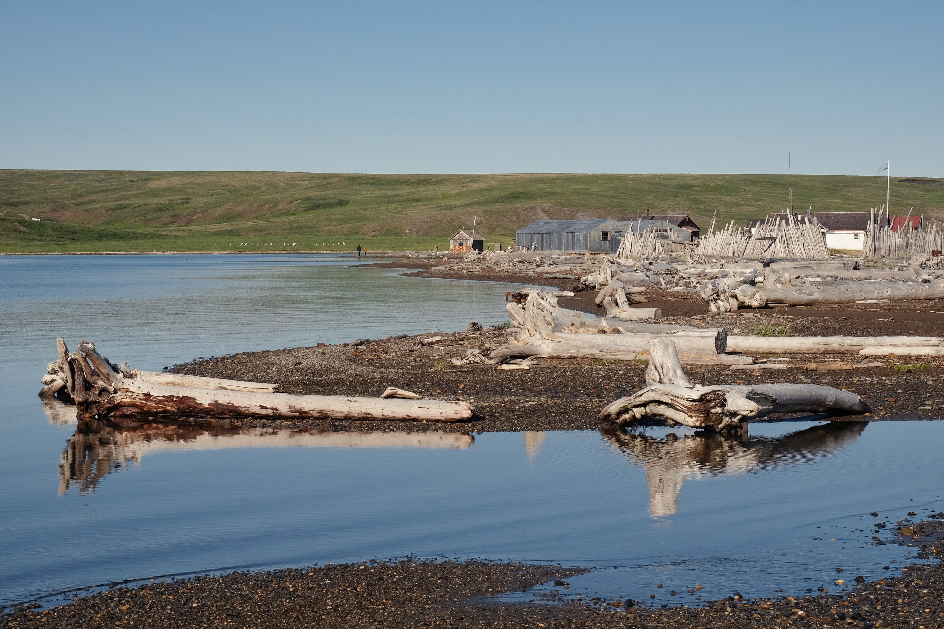 Pauline Cove Historic Whaling Settlement: Expert Ranger Walk