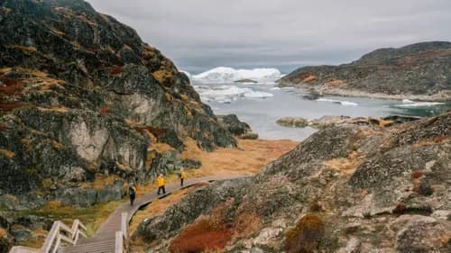 Seabird Colony & Cliffside Photography with a Polar Naturalist