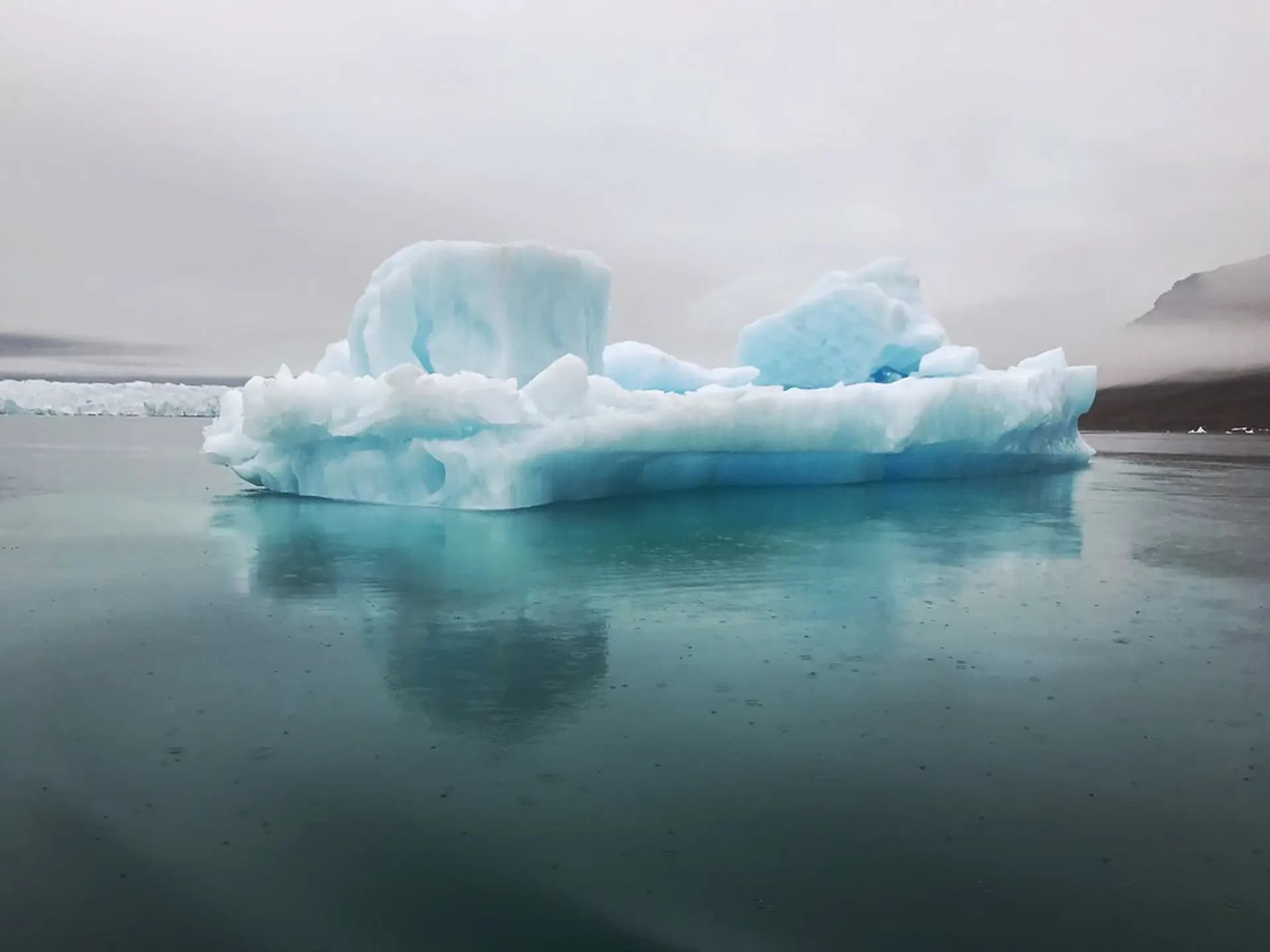 Arctic Birding Expedition: Seabird Cliffs of Devon Island