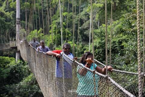 Kakum National Park Canopy Walk + Elmina Castle Fusion