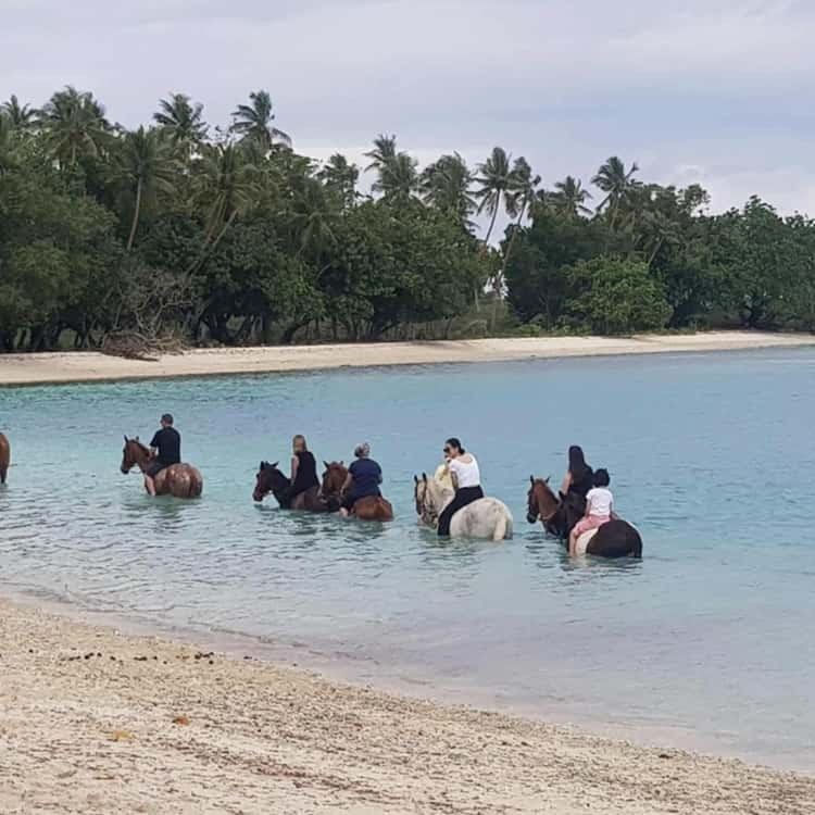 Vanuatu Horseback Riding, Snorkeling, Village & Tropical Snacks