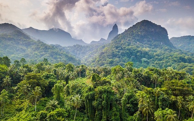 Príncipe Rainforest & Obô Natural Park Private Safari
