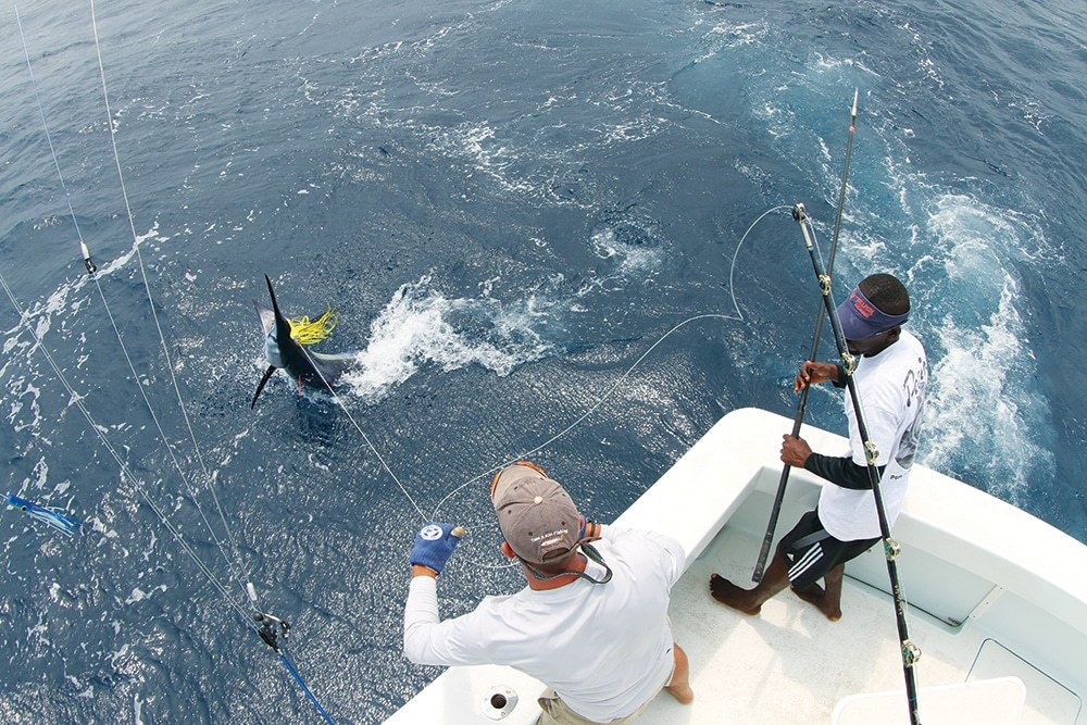 Príncipe Sport Fishing: Blue Marlin & Yellowfin in the Gulf of Guinea
