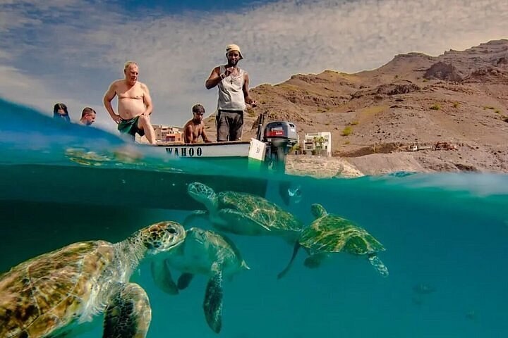 São Pedro Sea Turtle Snorkel Experience