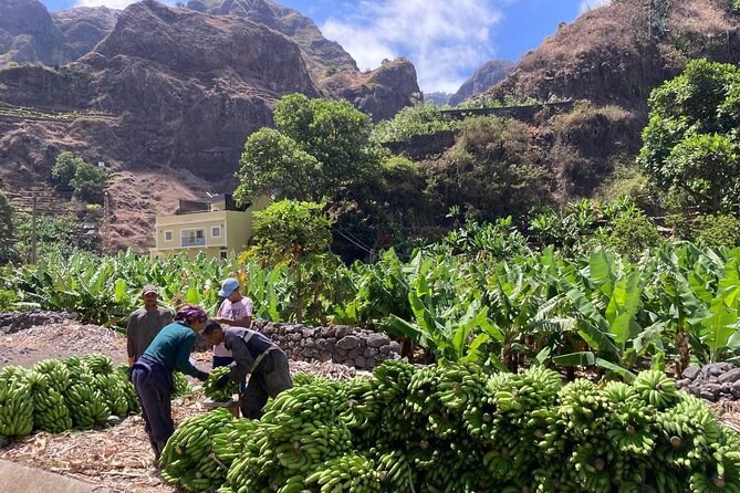 Santo Antão Day Trip: Ferry + Ribeira Grande Valley Trek