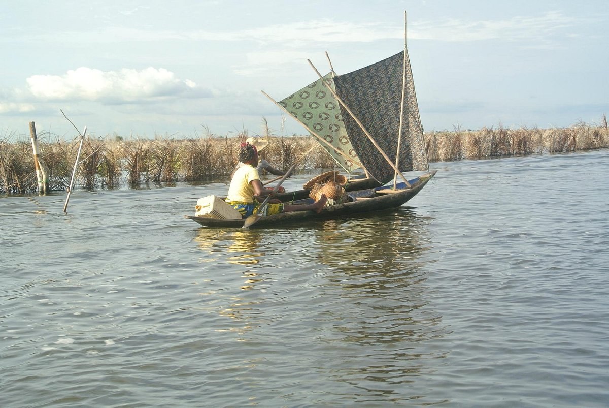 Lake Nokoué Birding Dawn Expedition by Private Motorised Pirogue