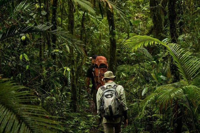 Tangkoko National Park: Private Dawn Wildlife Trek with Naturalist