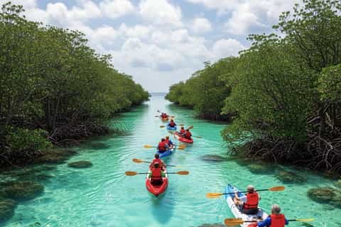 Guided Mangrove Kayak & Flamingo Watch