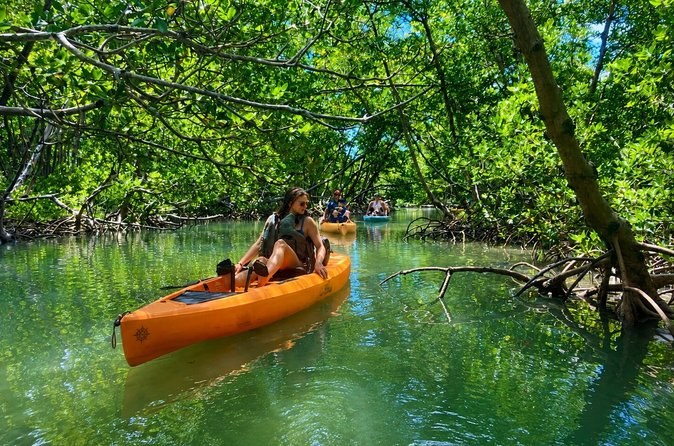 Kayak & Mangrove Eco-Safari: Mozambique's Secret Waterways