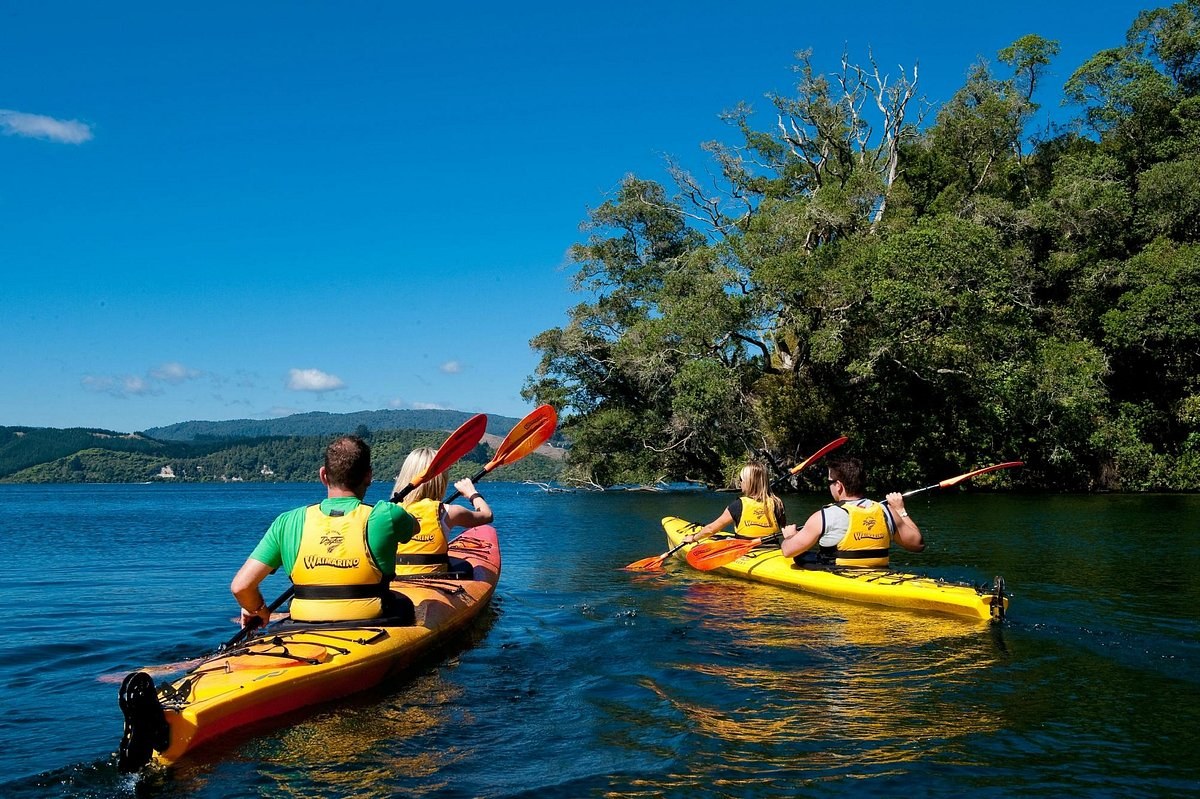 Waimarino Kayak & Adventure: Wairoa River Private Experience
