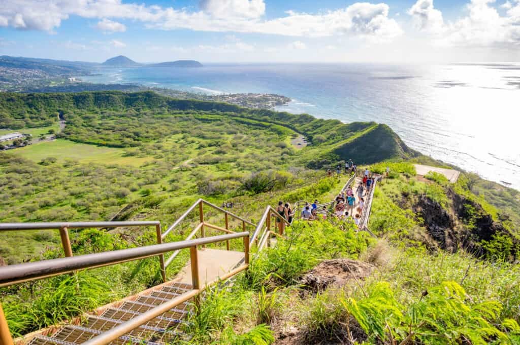 Diamond Head Summit Hike with Private Expert Naturalist Guide
