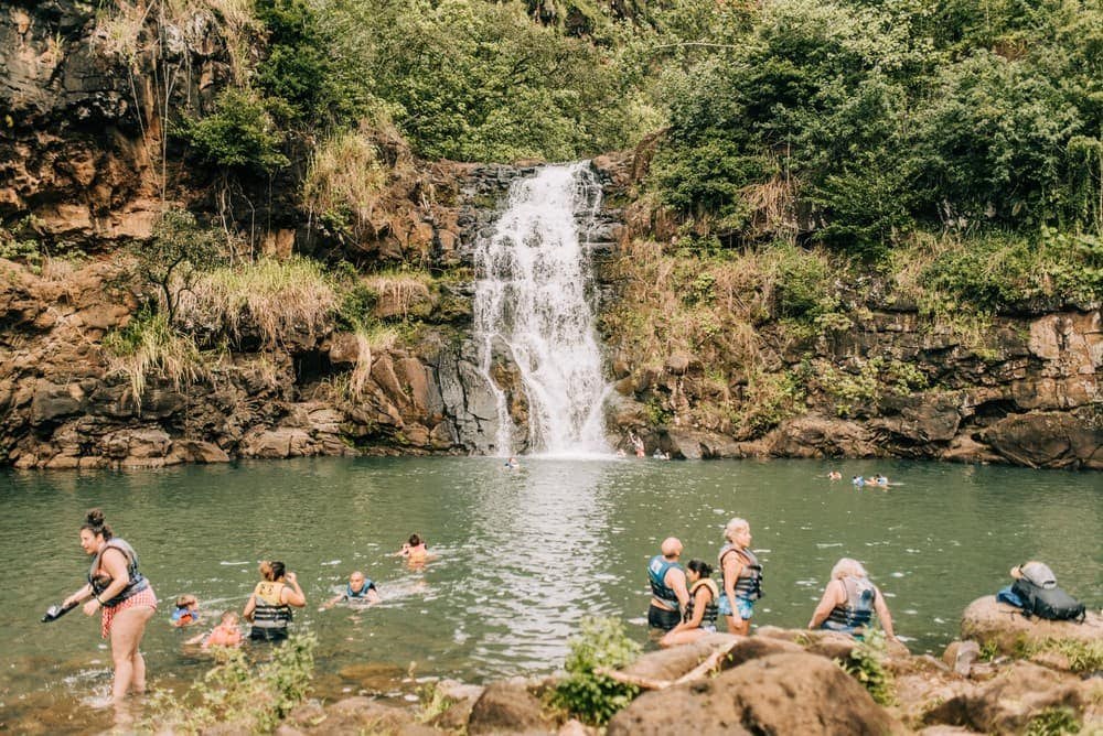 Waimea Valley: Sacred Hawaiian Garden & Waterfall Swim