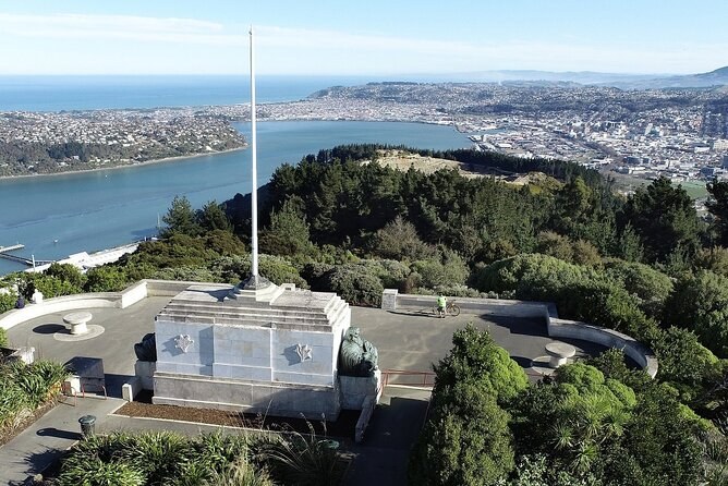 Guided Dunedin City & Otago Peninsula Small-Group Tour (Max 10)