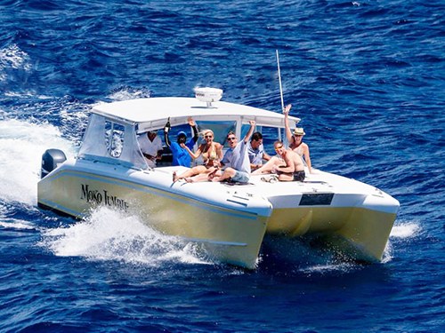 Cockleshell Bay Sail & Snorkel: Private Catamaran to the South