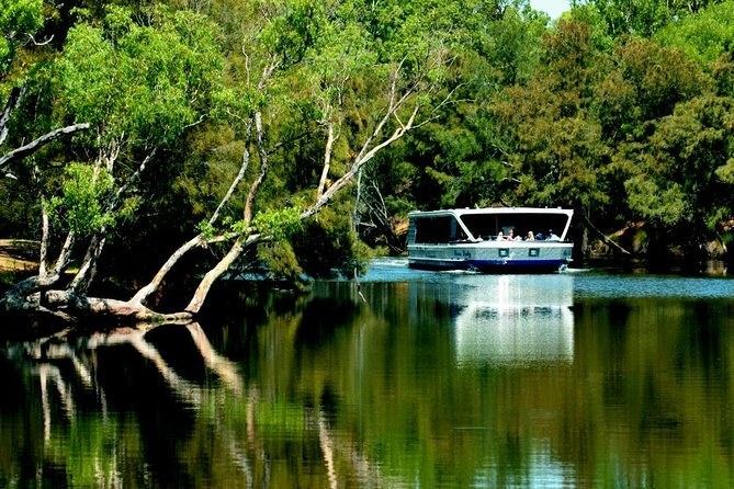 Perth Private Luxury Day Tour: Swan Valley, Wildlife & Wineries